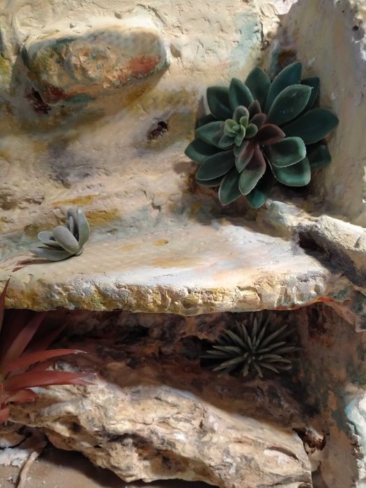 Terrarium dla gekona