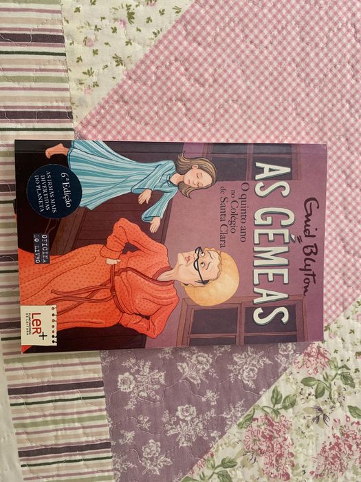 Livro juvenil - “AS GÉMEAS, o quinto ano em Santa Clara”