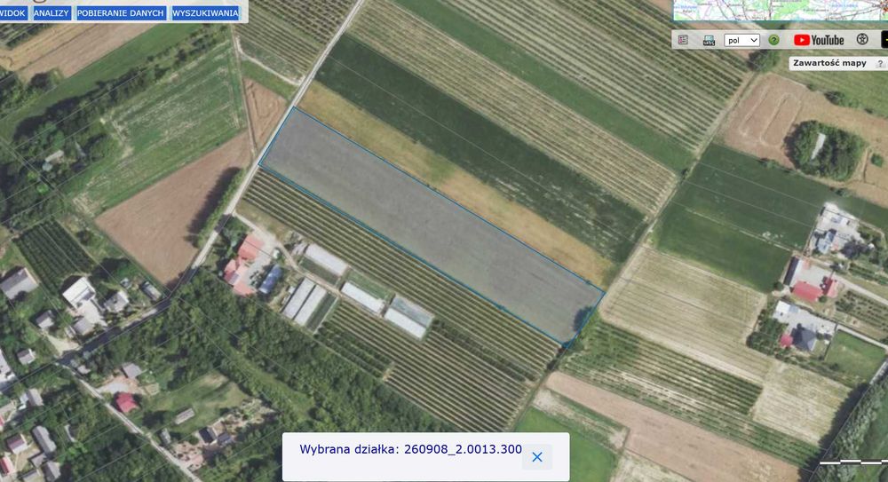 Działka rolna 1,32 ha | Klasa II i IIIa | Tułkowice gm. Wilczyce | Droga asfaltowa - Widok 2