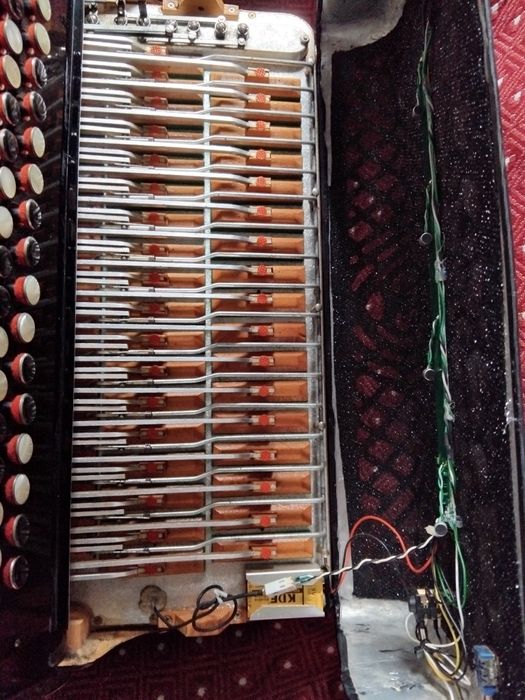 Acordeon Ballone Burini