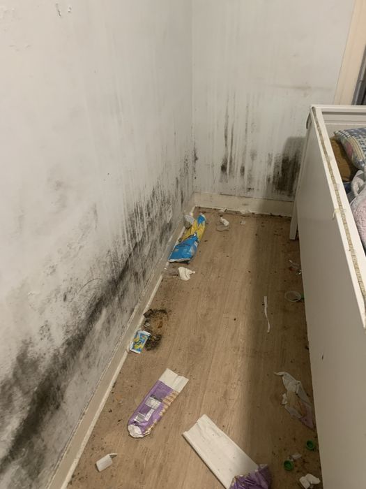 Pintura e lavagem de parede