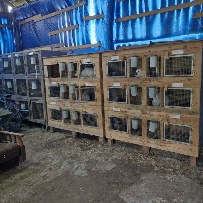 Klatki dla Królików