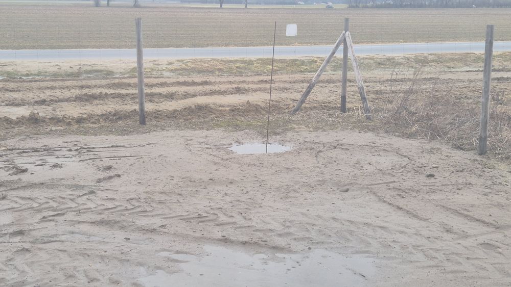 Płot leśny z bramą