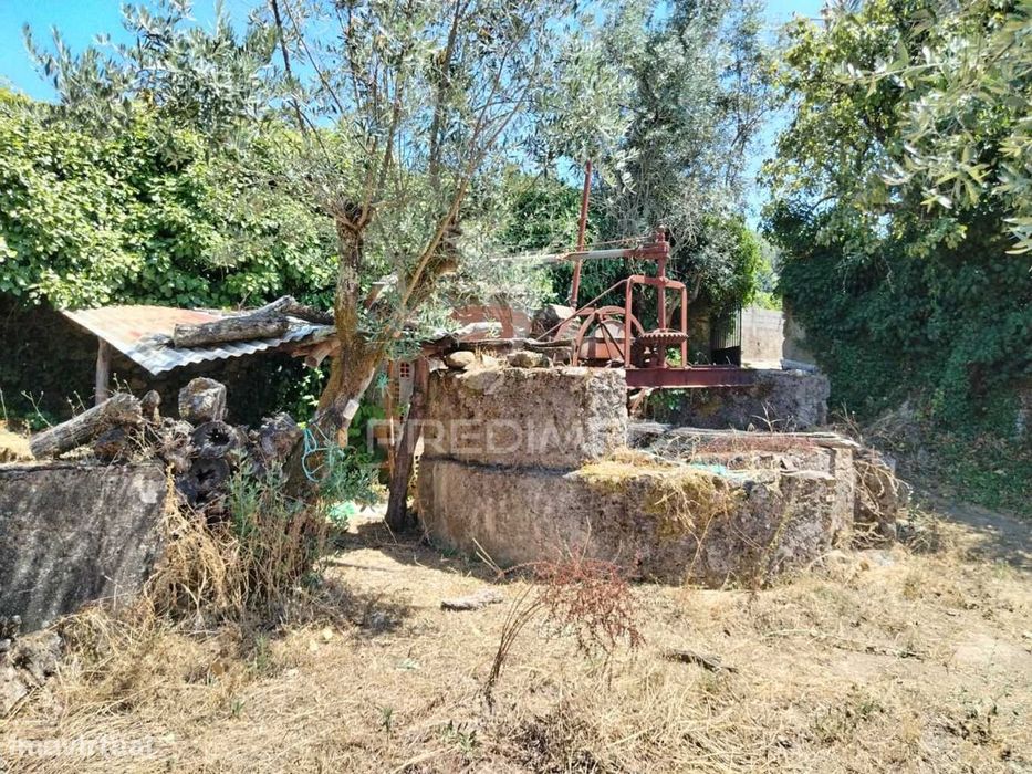 Terreno — Ribeira De Nisa E Carreiras, Portalegre
