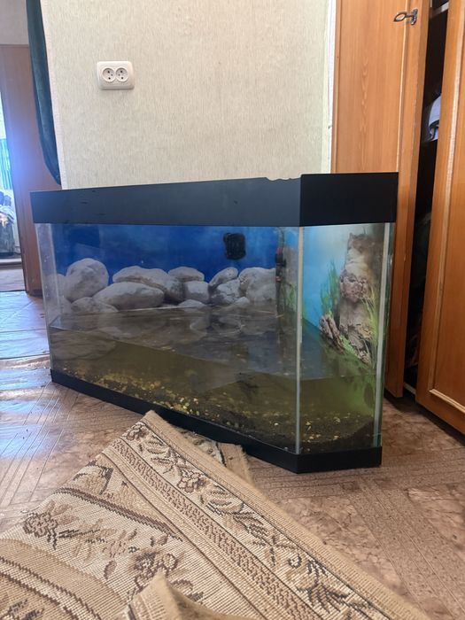 Акваріум кутовий 150 л