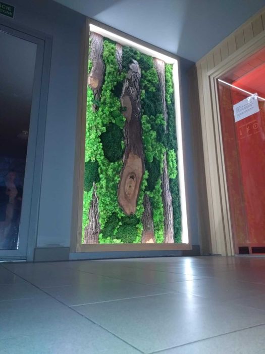 Dekoracyjne zielone ściany z chrobotka i drewna, oświetlenie LED