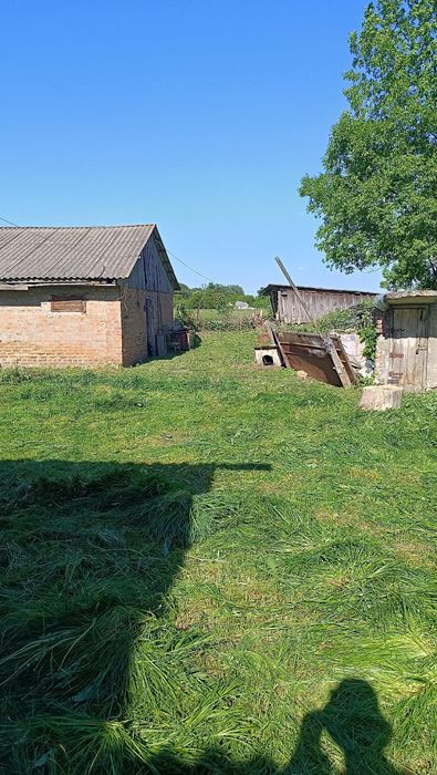 Зкошування трави,зпилювання дерев, триммер,бензопила