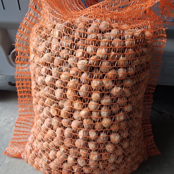 Orzechy laskowe 5kg