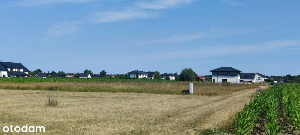 Działka, Zaborówek - Widok 2