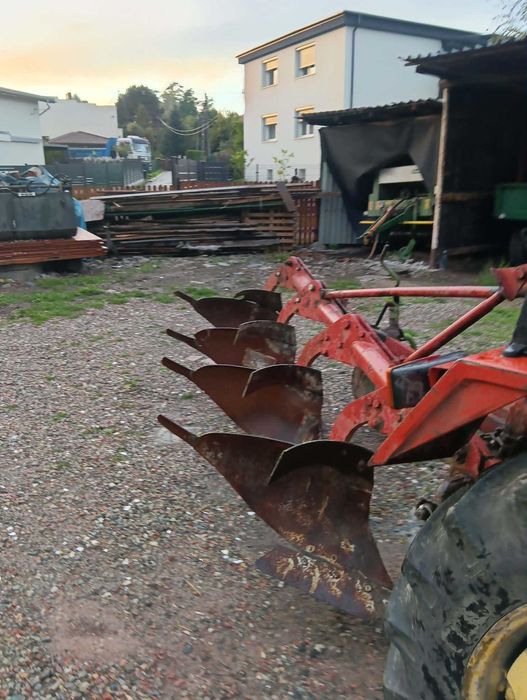 sprzedania pług  Zagonowy kVERNELAND