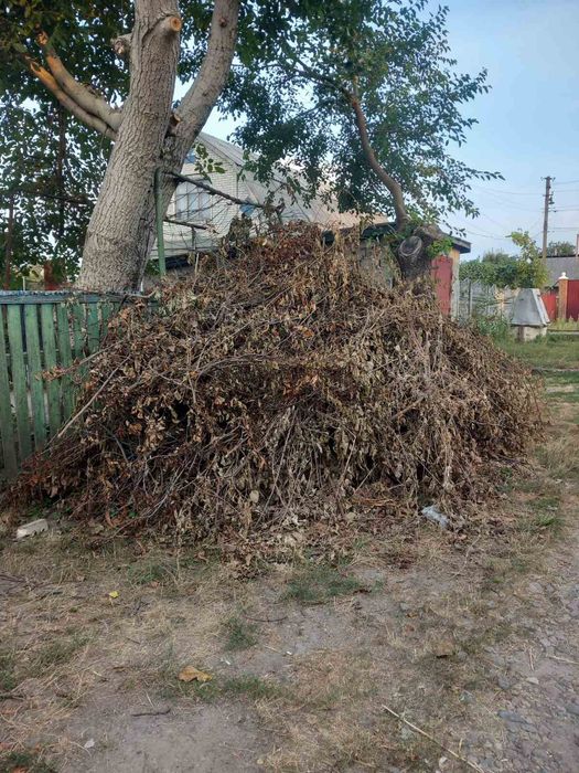 Вивіз Сміття.Перевезення.Покос Трави зрізка дерев і т.д.