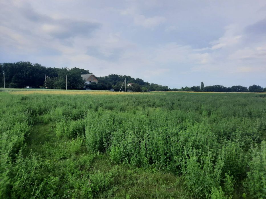 Земельна ділянка 14 соток