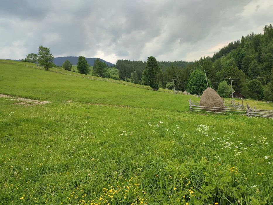 Продається земельна ділянка в серці Карпат ( Кривопільський перевал )