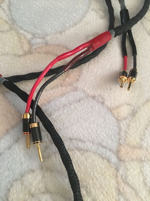 Monster Sigma Retro Gold 2x2,5m