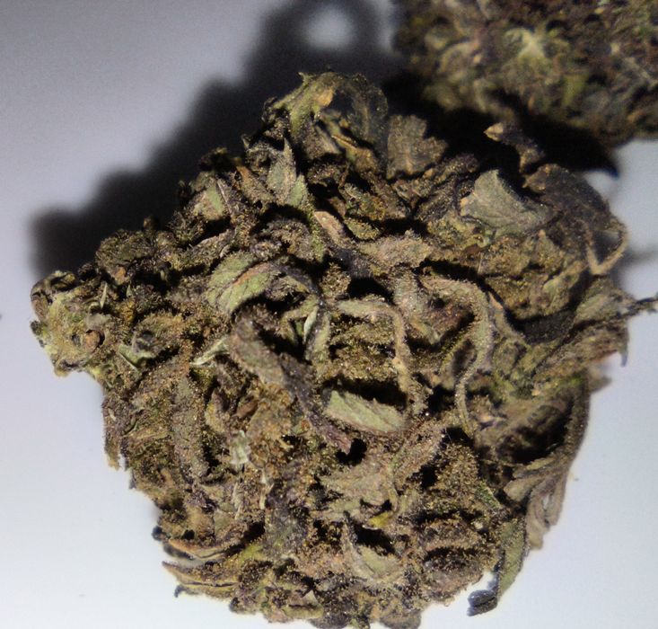 Legalny susz CBD BlueBerry 6.10% NATURALNY 1kg