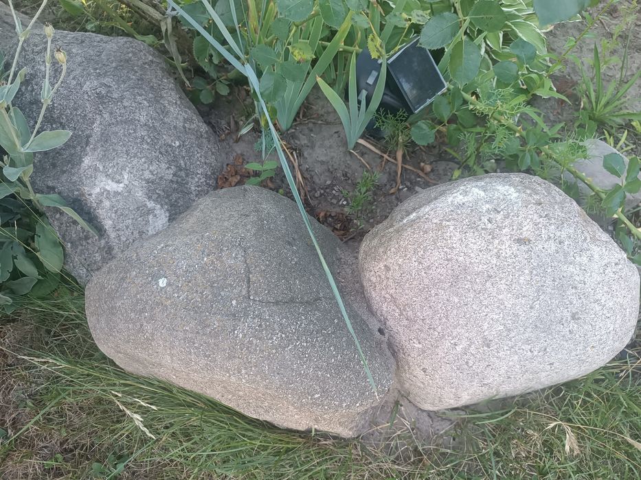 Oddam kamienie Mszczonów