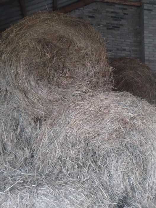 Sprzedam słomę i siano 120