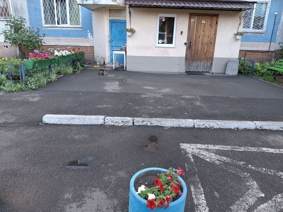 Оренда БЕЗ КОМІСІЇ. Здам 1к квартиру Троєщина, Червоної Калини 26Б. Газова плита, 2 поверх, Бойлер