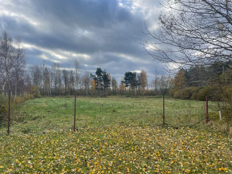 Działka nad morzem - Widok 3