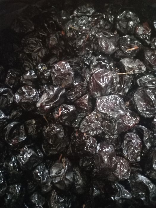 Чорнослив домашній