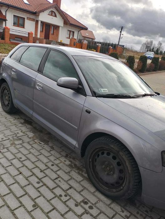 Audi A3 8P 1,9tdi