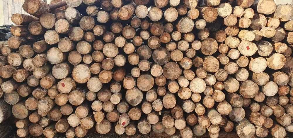 Drewno opałowe suche - sosna wałki