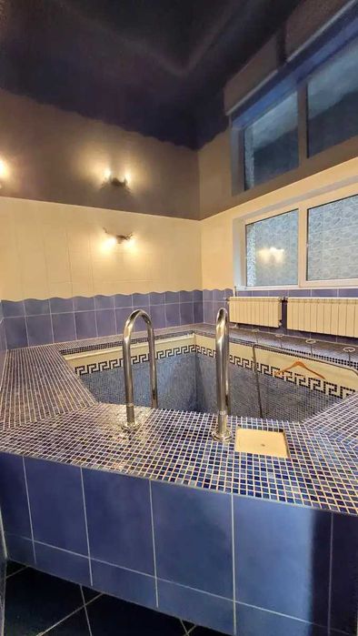 Продається будинок 397м2, 12сот. газ в с. Старі Петрівці, СТ "Дніпро"