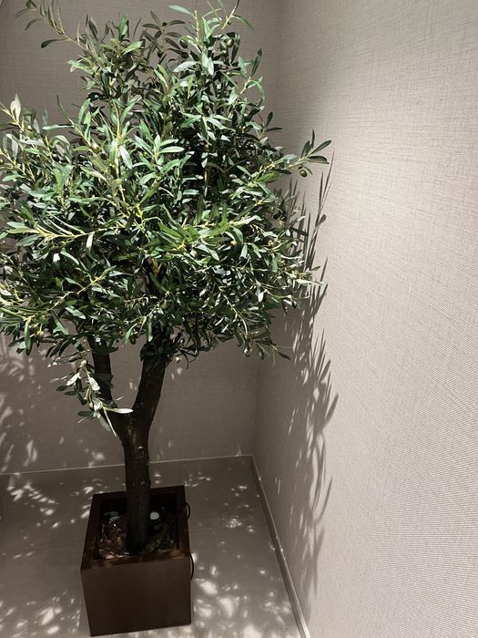 Árvore Oliveira Artificial