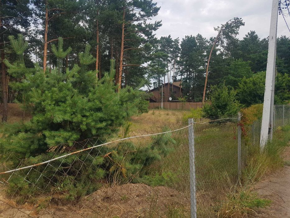 31 сот.Романків. Підгірці.Ліс,кутова ділянка під житлову забудову .