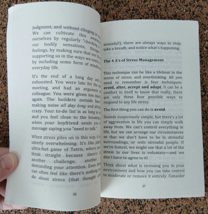 Livro - Stop Overthinking (Nick Trenton)