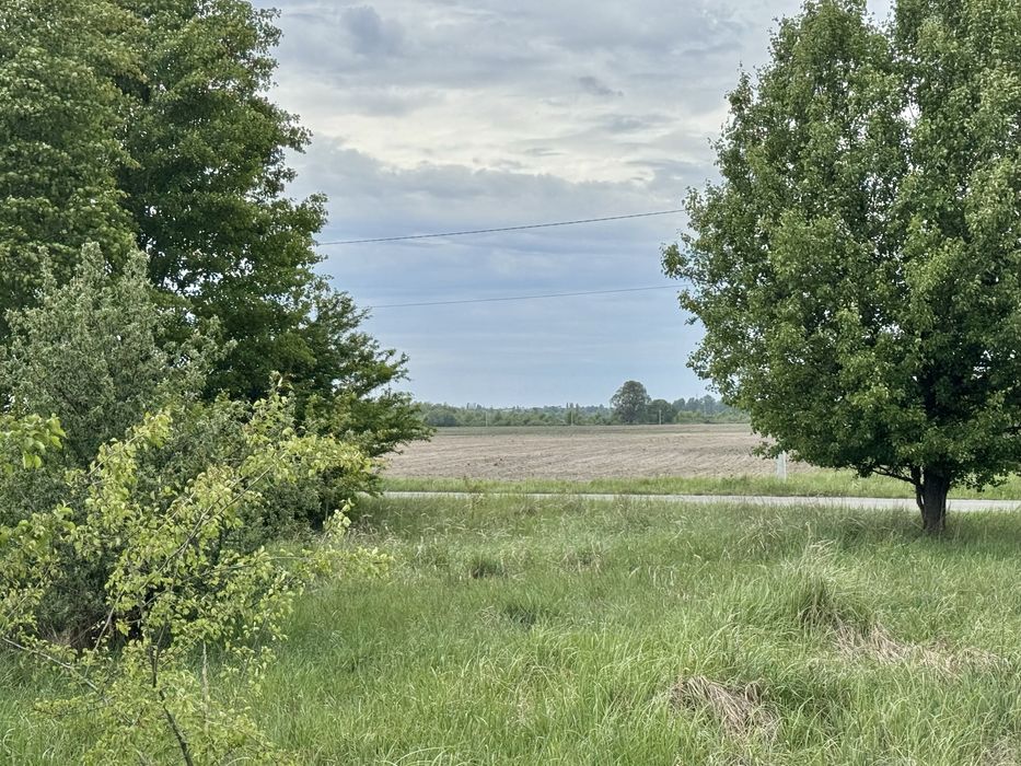 Земельна ділянка 1,5 га!!! Пилиповичі