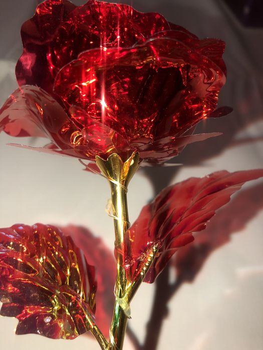 ЛЕД-РОЗА (Троянда)