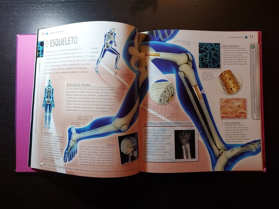 Livro educativo O Corpo Humano