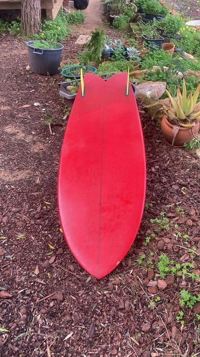 Gato heroi  fish surfboard
