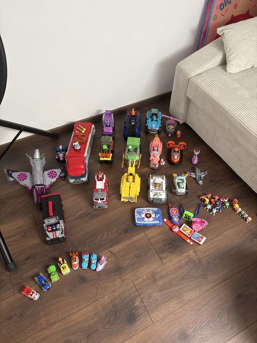 Zestaw fana psiego patrolu