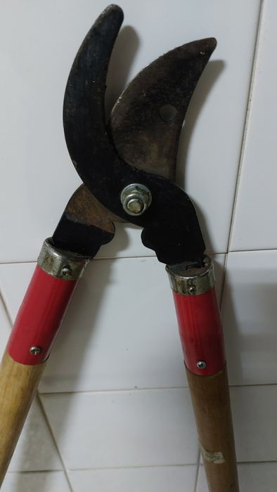 Tesoura de podar