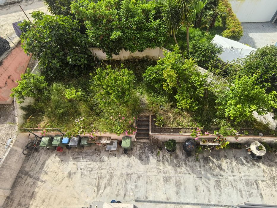 Faço, remussões de troncos _raizes"podas,abates de árvores.construcao,