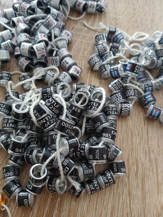 Obrączki dla gołębi 2026