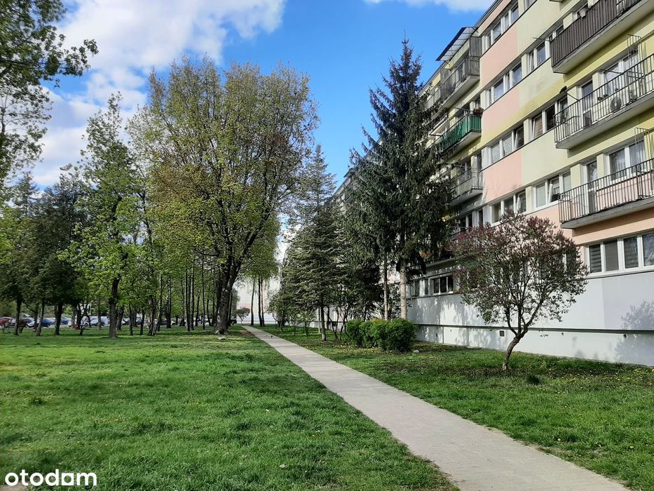Sprzedam udział 1/2 w lokalu M3 Teofilów Rojna