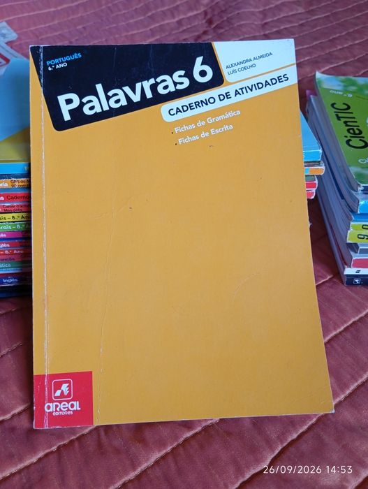 Palavras 6, caderno de atividades Português