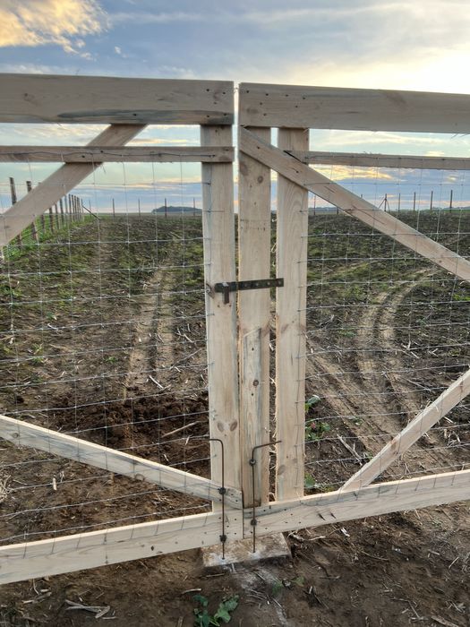 Ogrodzenia panelowe150 i 170cm tymczasowe siatka leśna lub deski