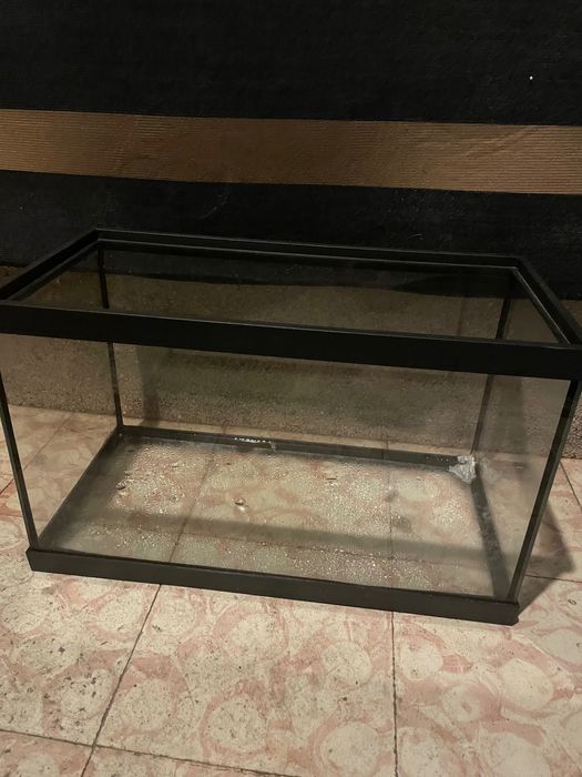 Aquário pequeno em vidro