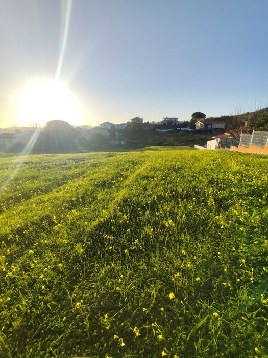 Terreno urbano para construção torres vedras