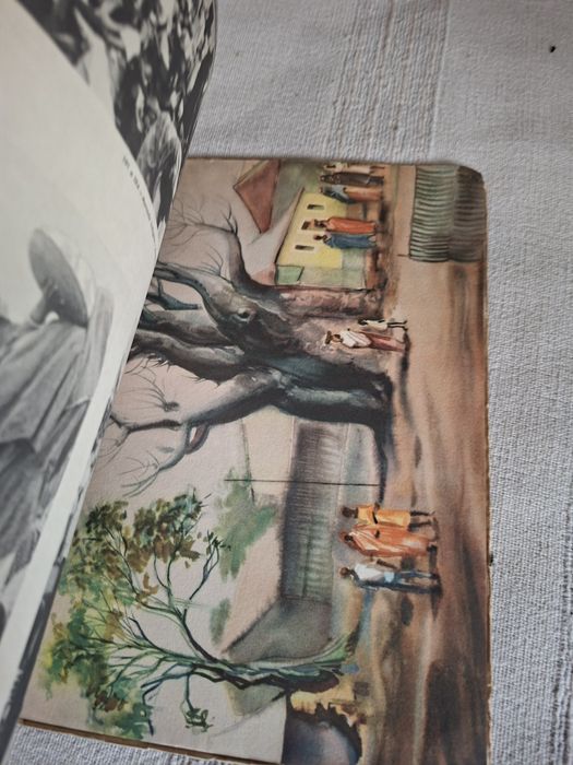 Luanda Angola livro antigo