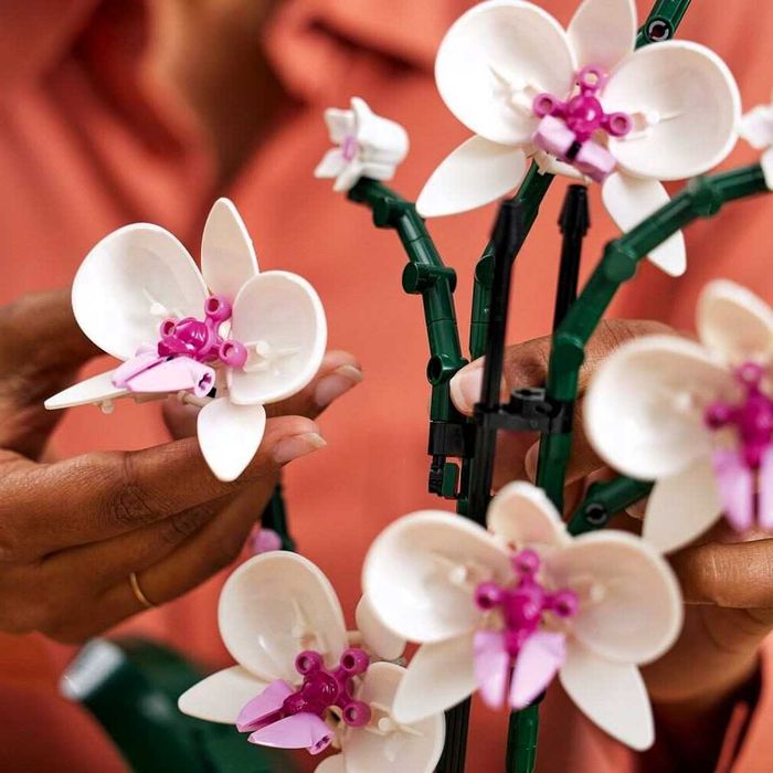 LEGO Botanicals 10311 Orchidea do Samodzielnego Złożenia dla dorosłych