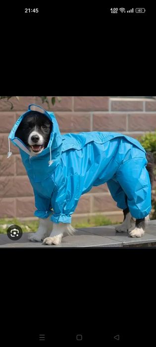 Capa de chuva para cães