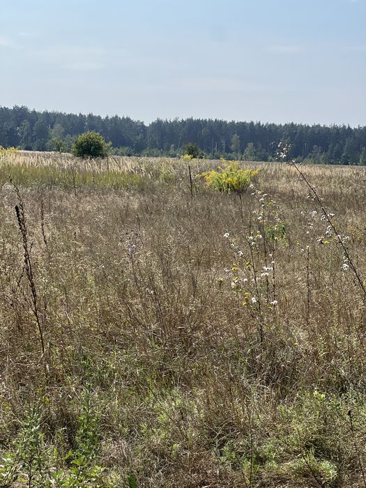 Продаж земельної ділянки 23 соток!