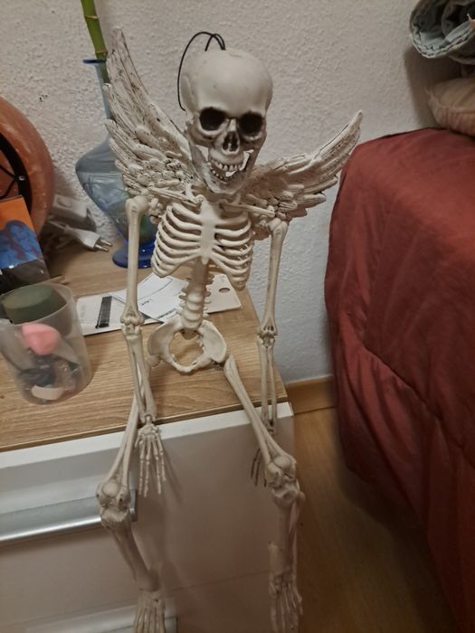 Skeleton with Wings