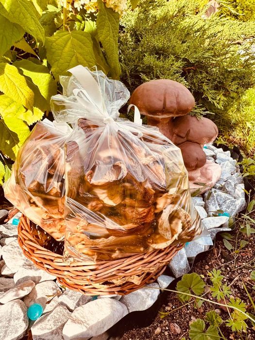 Sprzedam  grzyby suszone  prawdziwki 28 zl