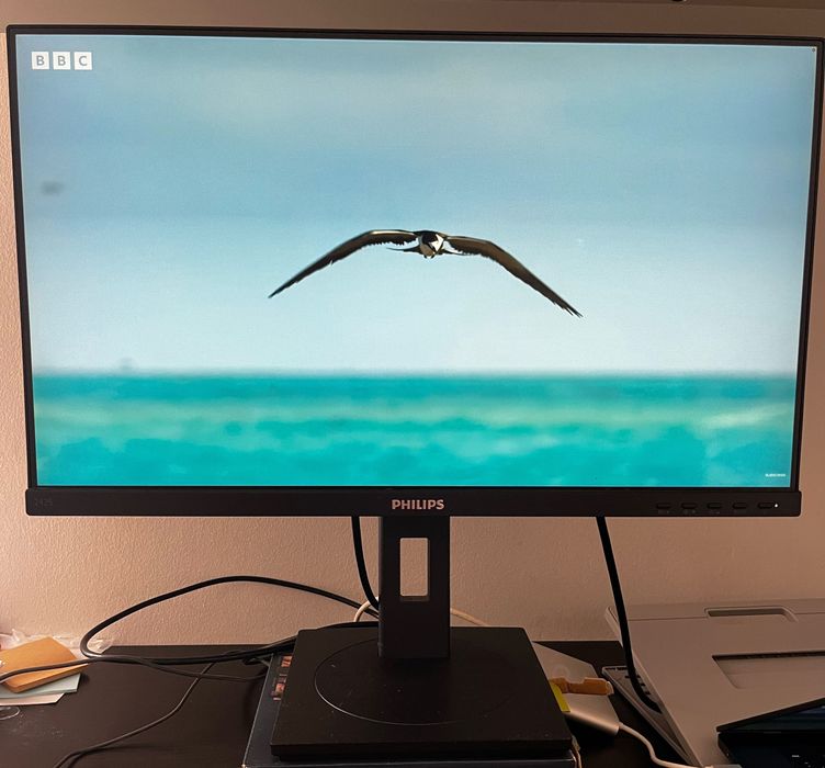 Monitor Philips 24" IPS 242S1AE - Como Novo